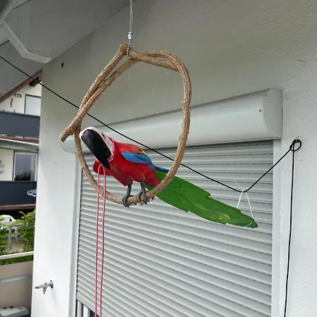 Kevins Apartment